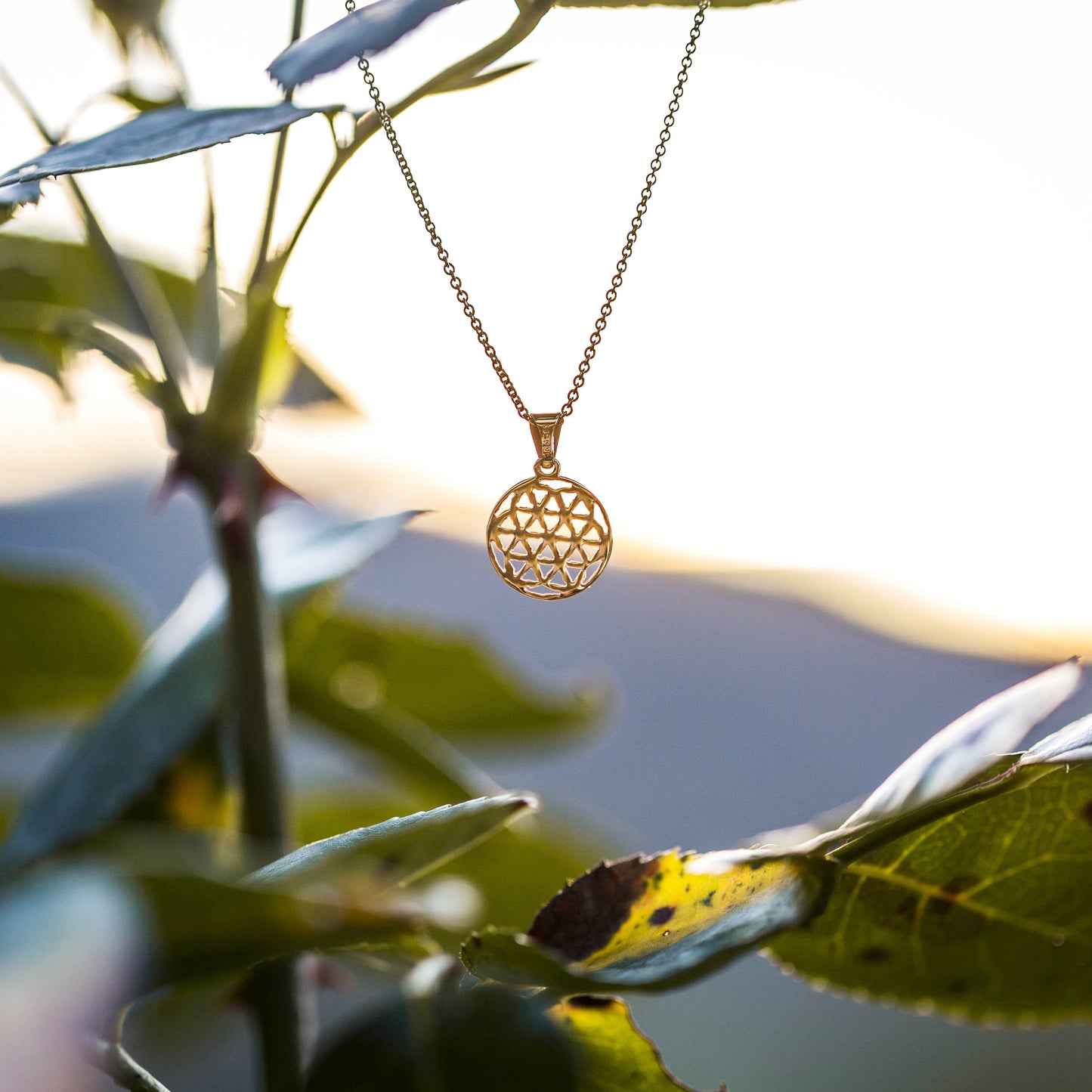 Set: Olympia d'Oro | Harmonie & Energiefluss